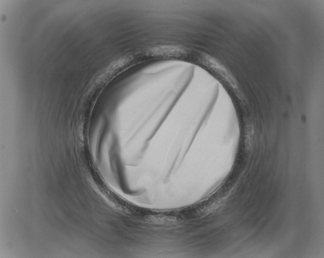 X0000081490633200702021923