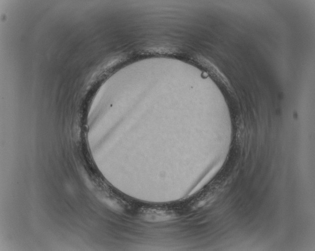 X0000081490635200702021924