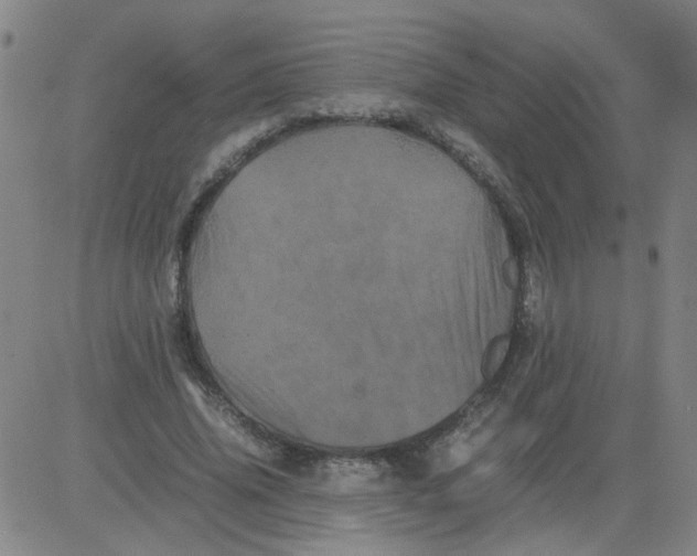 X0000081490636200702021924