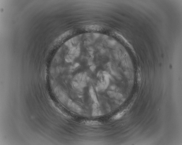 X0000081490637200702021924