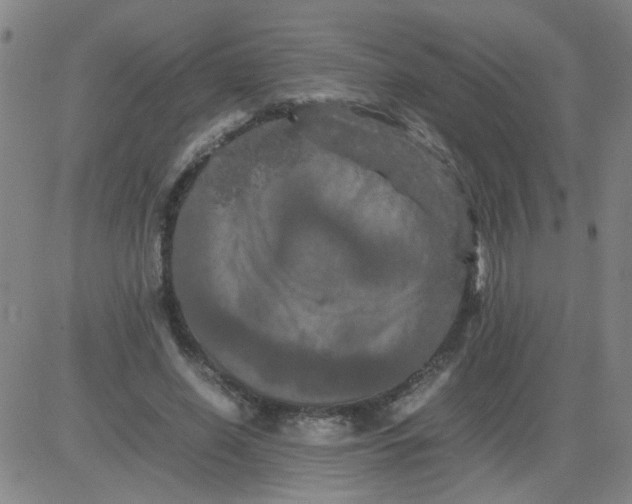 X0000081490638200702021924