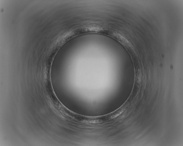 X0000081490639200702021924