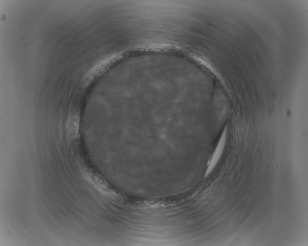 X0000081490640200702021924