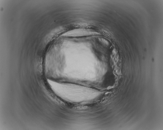 X0000081490642200702021924