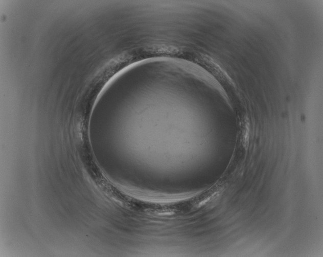 X0000081490643200702021924