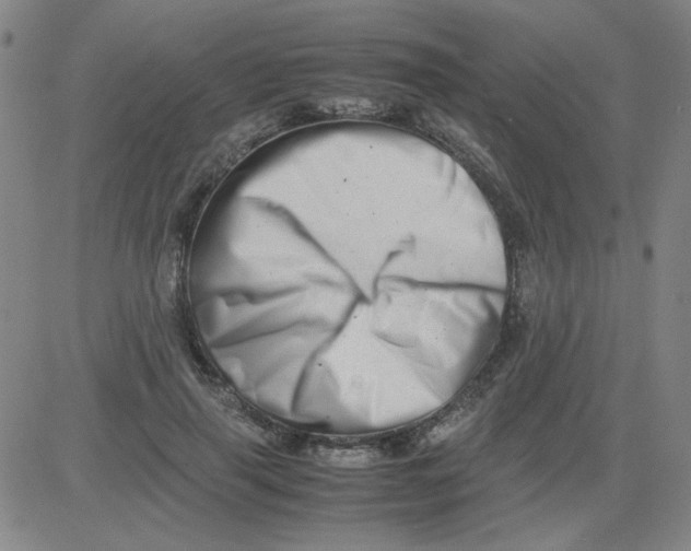 X0000081490645200702021924