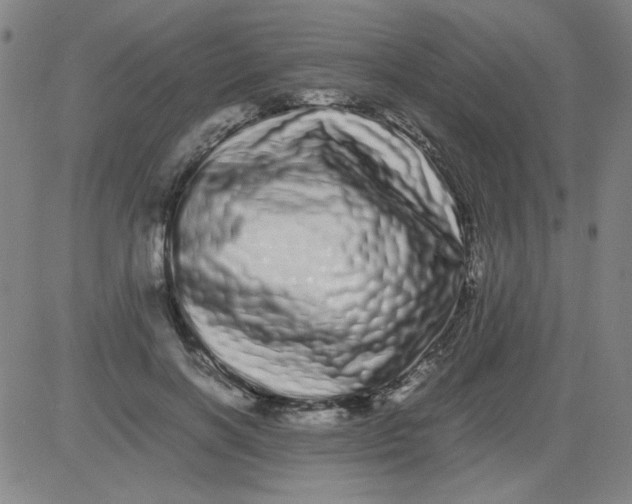 X0000081490646200702021924