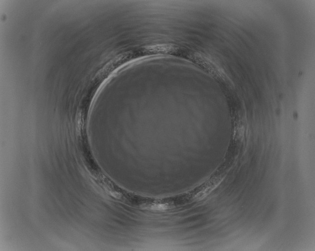 X0000081490647200702021924