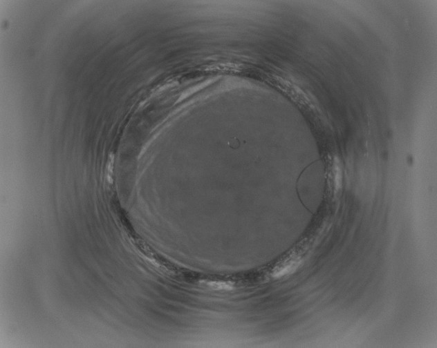 X0000081490649200702021924