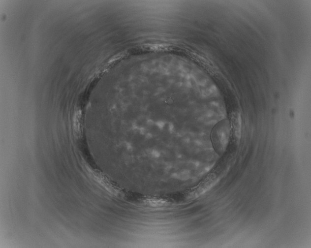 X0000081490650200702021924