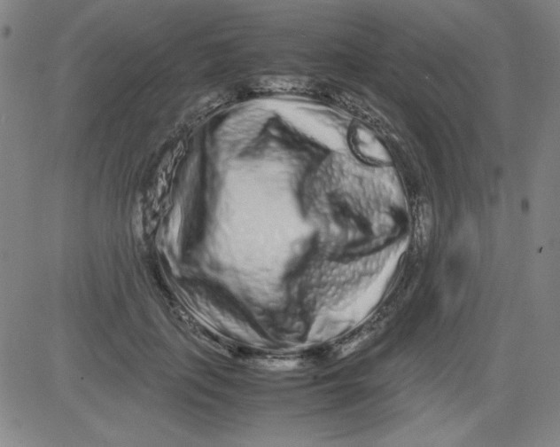 X0000081490651200702021924