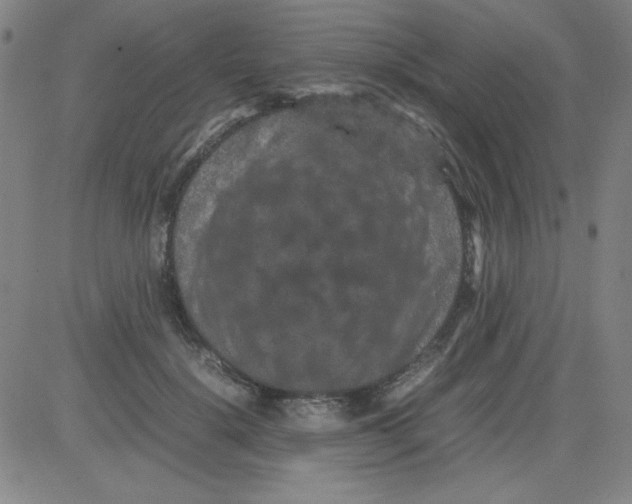 X0000081490652200702021924