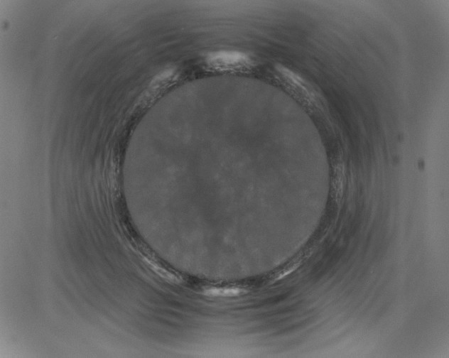 X0000081490653200702021924