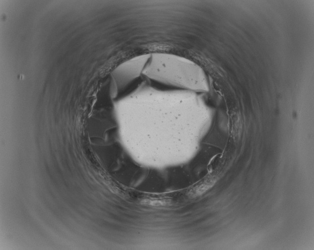 X0000081490655200702021924