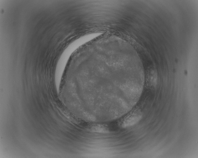 X0000081490656200702021924