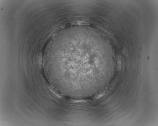 X0000081490657200702021924