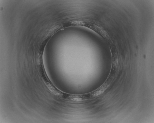 X0000081490658200702021924