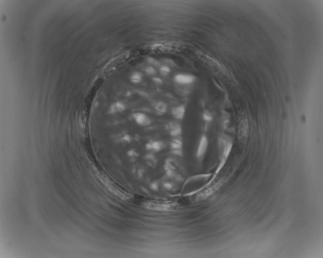 X0000081490661200702021924