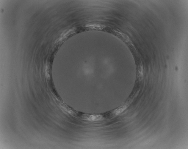 X0000081490663200702021924