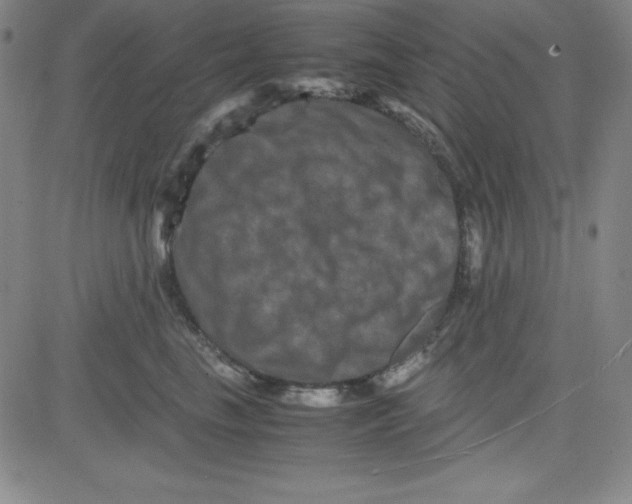 X0000081490665200702021924