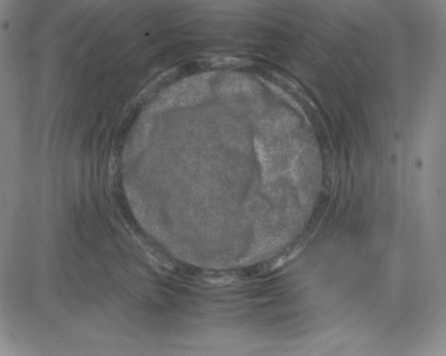 X0000081490667200702021924