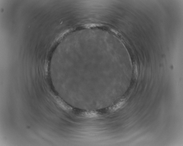 X0000081490668200702021924