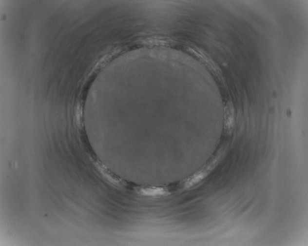 X0000081490669200702021924