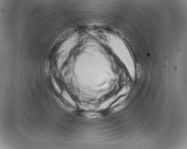 X0000081490670200702021924