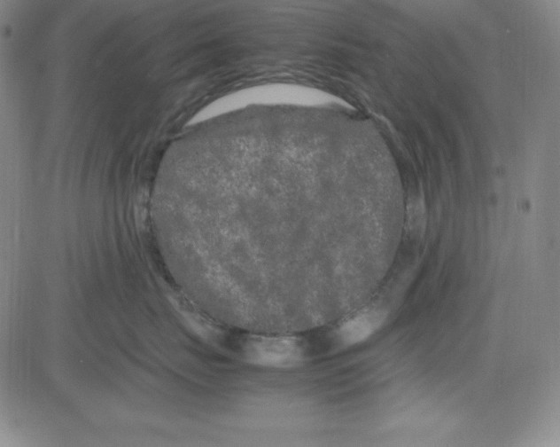 X0000081490671200702021924