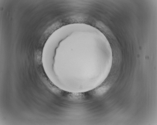 X0000081490672200702021924