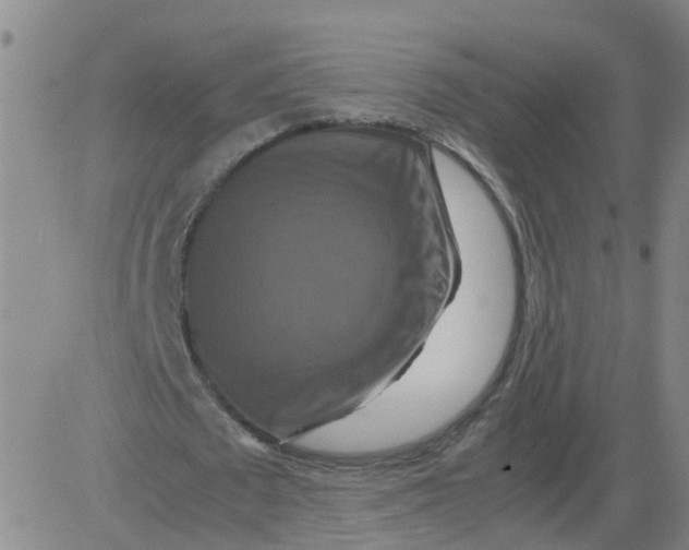 X0000081490673200702021923