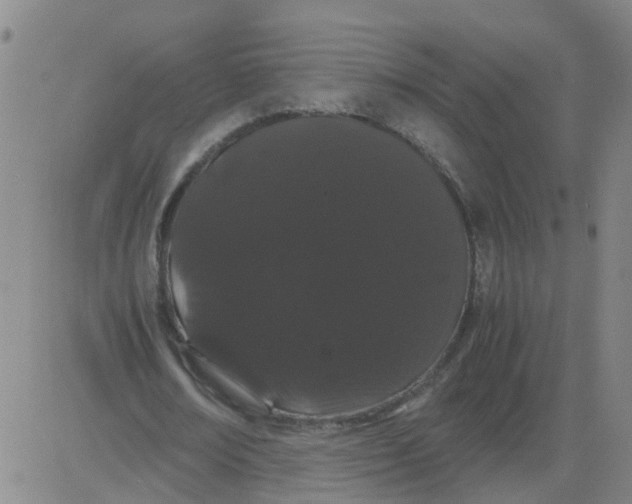 X0000081490674200702021923