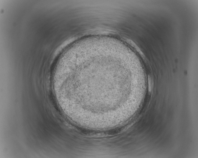 X0000081490675200702021923