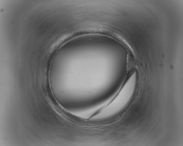 X0000081490677200702021923