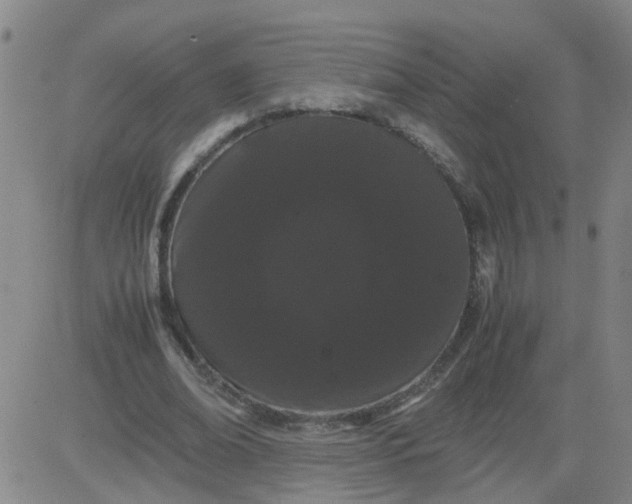 X0000081490678200702021923