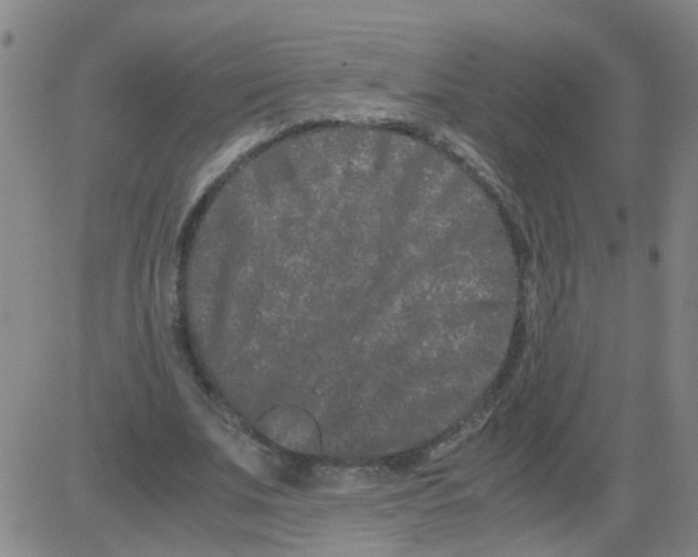 X0000081490679200702021923