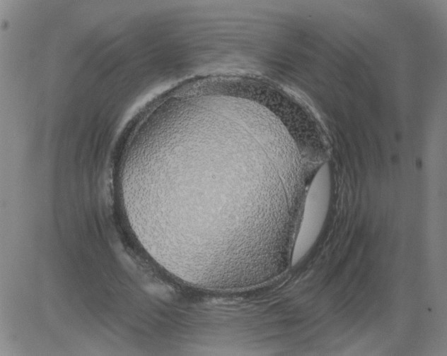 X0000081490680200702021923