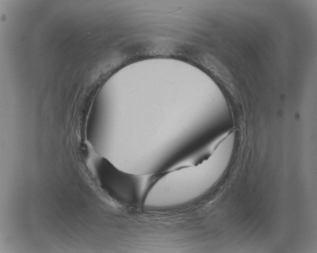 X0000081490681200702021923