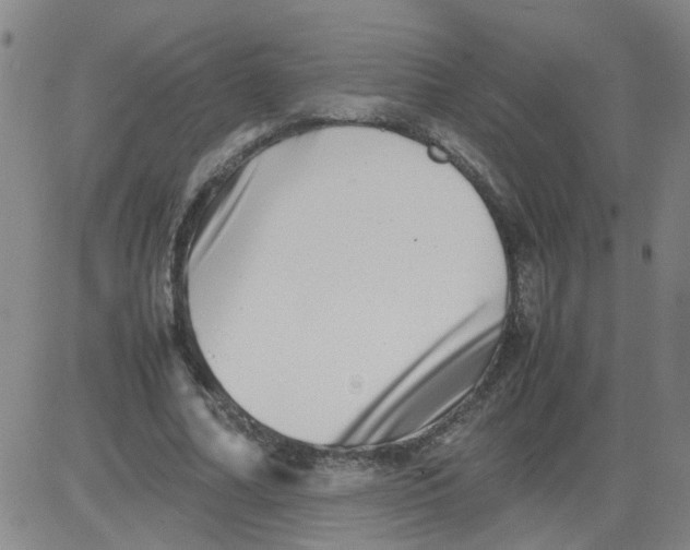 X0000081490682200702021923