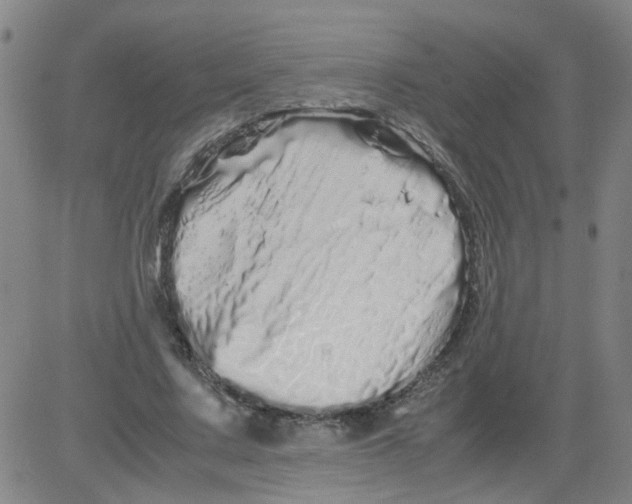 X0000081490683200702021923