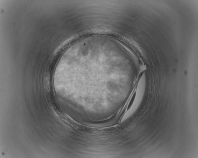 X0000081490684200702021923