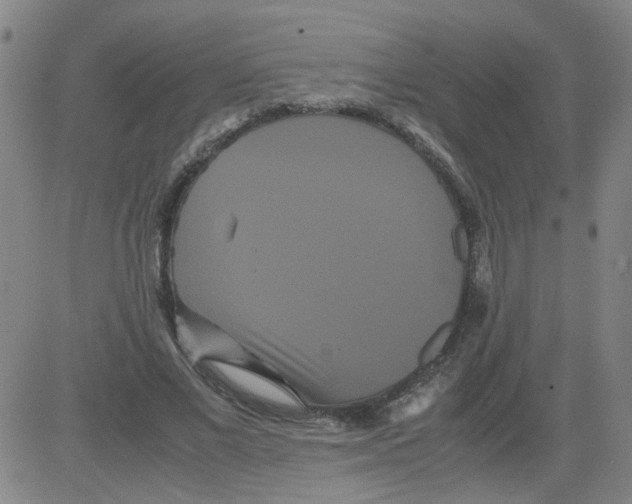 X0000081490685200702021923