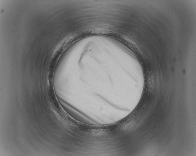 X0000081490686200702021923