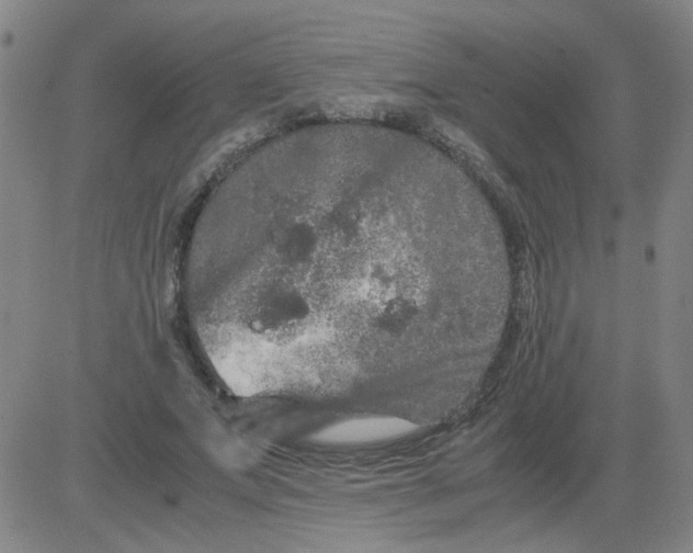 X0000081490687200702021923