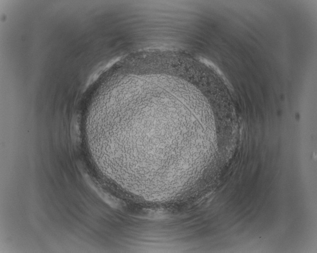 X0000081490688200702021923