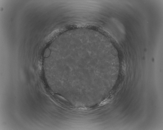 X0000081490691200702021923