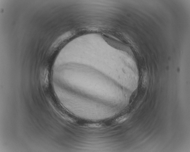 X0000081490692200702021923