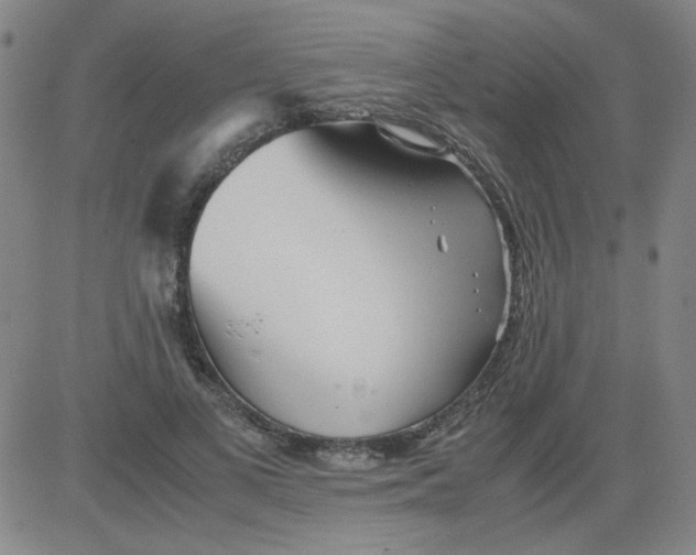 X0000081490693200702021923