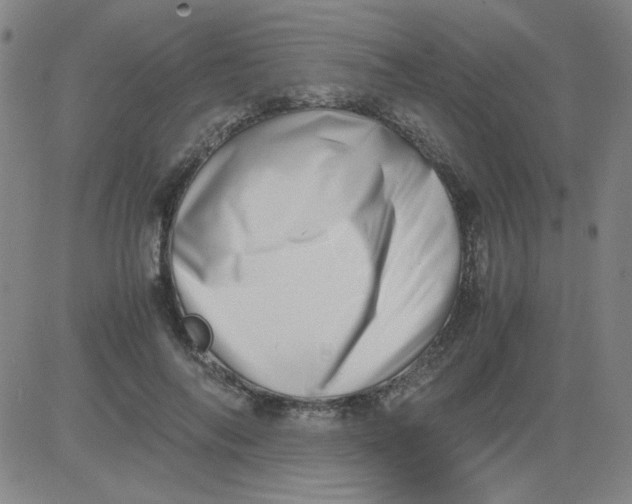 X0000081490694200702021923