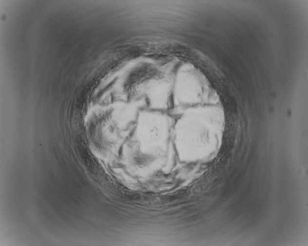 X0000081490695200702021923